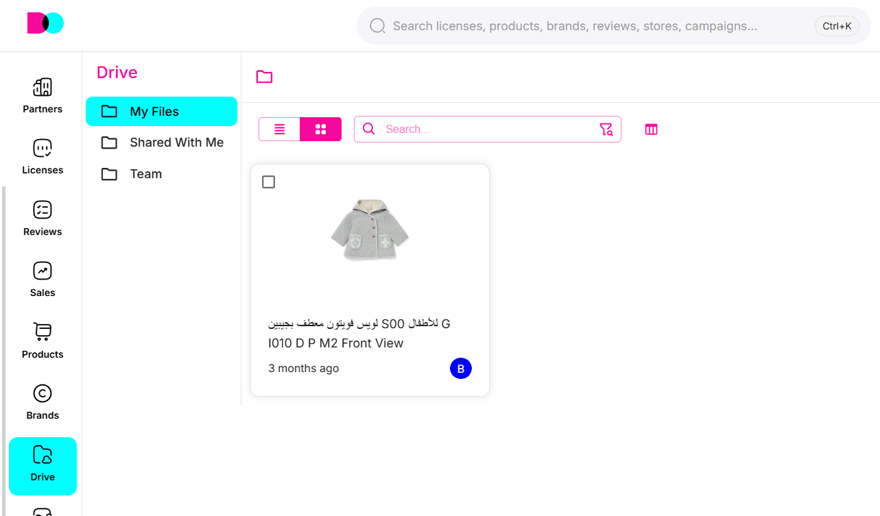 Drive showing folders, file cards, and recently accessed/added assets.